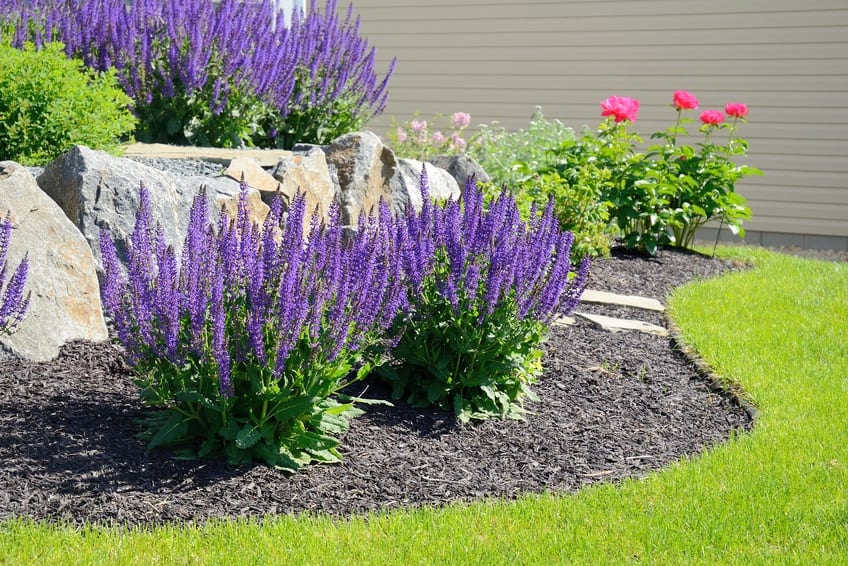 landscape contractors